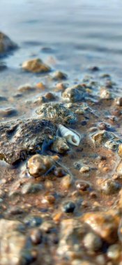 Temiz tatlı suyla nehir yatağındaki kayalar. Deniz suyunda deniz taşları. Suyun altındaki çakıl taşları. Yukarıdan bak. Denizcilik geçmişi. Temiz deniz suyu. Şeffaf deniz. Arka plan gri gri çakıl taşlarından oluşan büyük çakıl taşlarından oluşur. Çakıl taşı 