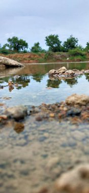 Nehir suyundaki çakıl taşlarının soyut arkaplanı. Nehir kıyısındaki deniz kabuğu. Denizde bir tatil. Doğada tatiller. Nehir kıyısındaki deniz kabuğu. Denizde bir tatil. Doğada tatiller. Sonbahar deniz kabuğunda kumsalda çakıl taşlarının yakın çekimi 
