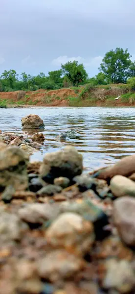 Fondo Abstracto Guijarros Piedras Agua Del Río Seashell Orilla Del Imagen de archivo