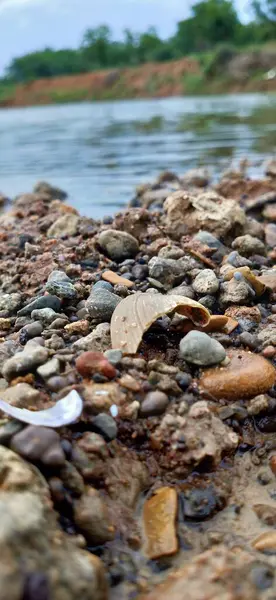 abstract background of Pebbles and stones in river water. Seashell on the river bank. Vacation at the sea. Vacations in nature. Seashell on the river bank. Vacation at the sea. Vacations in nature. Close-up of pebbles on the beach in autumn Seashell