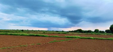 Pofuduk beyaz bulutların huzur içinde sürüklendiği açık mavi gökyüzünün altında güzel geniş yeşil tarlalar. Rahatlama, seyahat, çiftçilik, sürdürülebilirlik, çevre, çevre, çevre dostu temalar, meditasyon için mükemmel doğal manzara