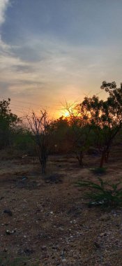 Gün batımında orman yolu. Ağaçla büyülü bir gün doğumu. Günışığında sonbahar parkı Ağaçların üzerinde güzel turuncu gün doğumu ve yoldaki araba. Şafak vakti kozalaklı bir ormanda şafak sökerken. Şafak vakti sisli kozalaklı orman. İnsanların, ağaçların ve günbatımının silueti, 