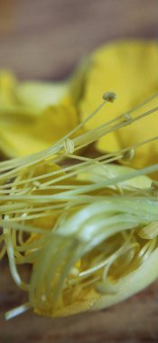 Güneşli bir sabahın erken saatlerinde çayır çiçekleri. Klasik sonbahar manzarası. Renkli güzel sonbahar çiçekleri büyülü. Bahçede açan güzel kozmos çiçekleri İsviçre 'nin Maloja Geçidi' nin sarı çiçekleri. Gölde güzel yabani çiçekler