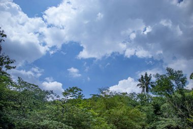 Kırsal alan - yeşil ağaçlar ve bulutlu açık mavi gökyüzü
