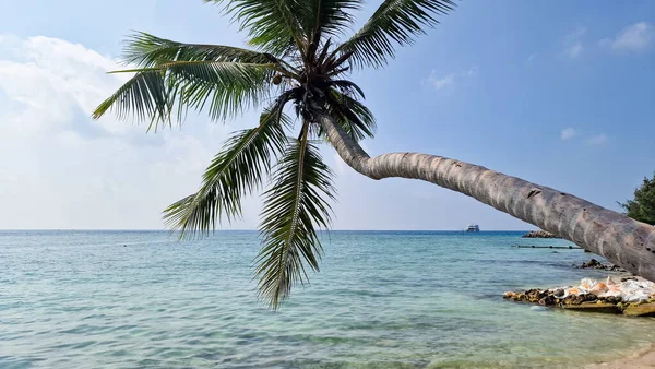 Paradise Maldives Solo Playas Blancas Aguas Turquesas Male Maafushi Gulhi — Foto de Stock