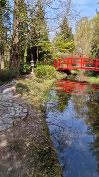 May Weekend Japanese Themed Gardens Poland — Stock Video