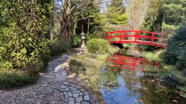 Mayıs Hafta Sonu Japon Temalı Bahçelerde Polonya — Stok video