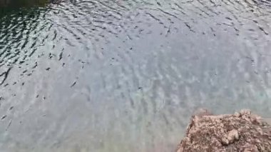 Porto Moniz, Madeira 'da olağanüstü doğal yüzme havuzları