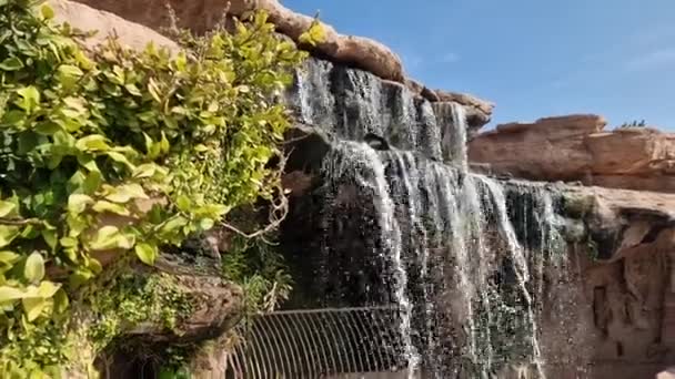 Adrenaliiniannos Crocoparc Agadirissa Drargassa Marokossa — kuvapankkivideo
