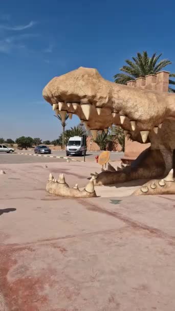 Dose Adrenalina Crocoparc Agadir Drarga Marocco — Video Stock
