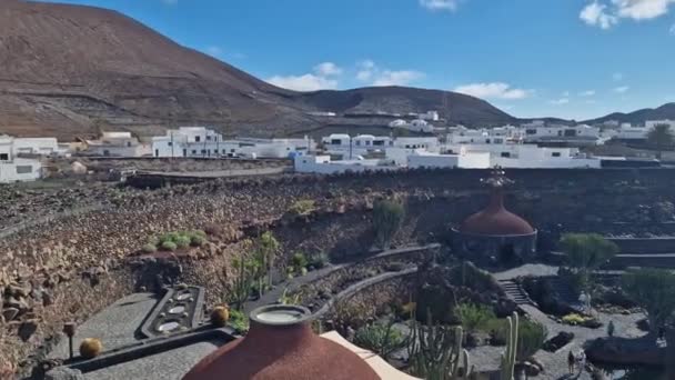 Lanzarote Unique Canary Island Boasts Diverse Array Cacti Explore Lanzarote — Stock Video