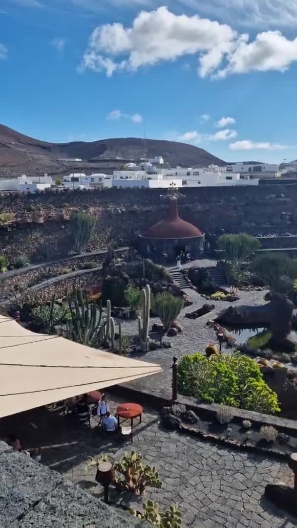 Lanzarote Unik Kanarieöarna Har Ett Brett Utbud Kaktusar Utforska Lanzarotes — Stockvideo