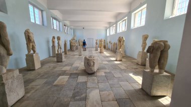 Ege Denizi 'nde bir mücevher olan Delos Adası zengin mitolojik ve arkeolojik öneme sahiptir. Apollo ve Artemis 'in doğduğu yer, antik harabeleri ve kutsal yerleri onu UNESCO' nun dünya mirası yapıyor..