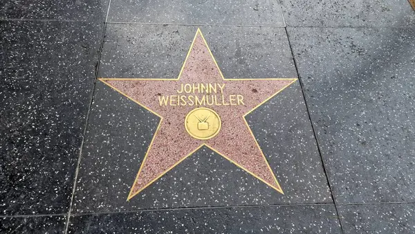 Hollywood Bulvarı ve Şöhret Yolu, Los Angeles, Kaliforniya 'da ikonik bir kültür simgesi oluşturur. Eğlence endüstrisinin ışıltısı ve cazibesi burada birleşir. Efsanevi kişiliklerin isimleri ve yıldızlarıyla süslenir.