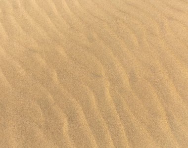 Kumsaldaki kum tepeleri