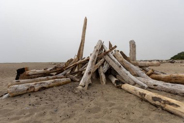 Okyanus kıyısındaki sahilde yakacak odun.