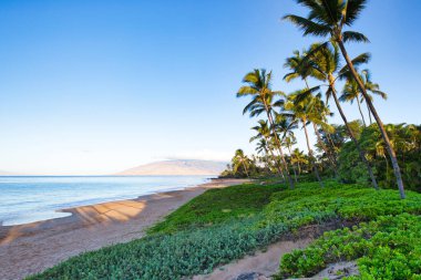 Güzel sahil. Etrafta palmiyeler olan güzel tropikal plaj manzarası. Tatil ve tatil konsepti. Tropik plaj.