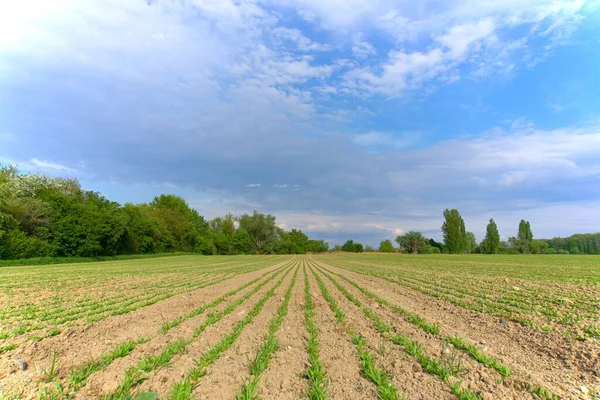Alan çizgileri ve gökyüzü olan manzara