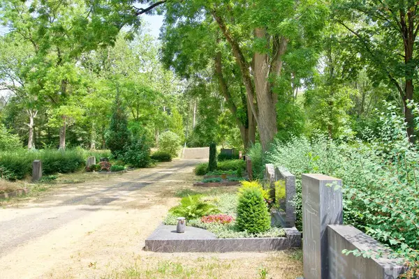 beautiful view of the semetery park