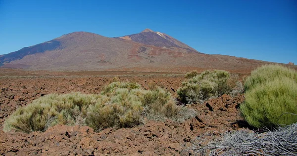 Çöl dağı manzarası ve volkan zirvesi, Pico del Teide Ulusal Parkı, kırsal park. Unesco. Tenerife. Hiç kimse. El kamerasıyla. Yavaş çekim.