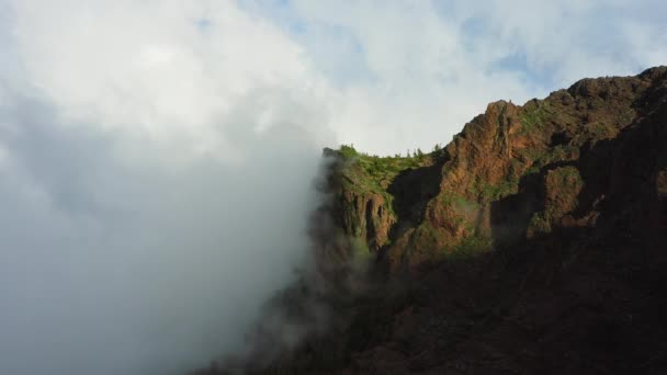 緑の山の頂上の上の雲の中を自然光で飛んでいます 針葉樹林 素晴らしい朝の日の出と高峰 素晴らしい風景 自然を背景に 火山国家を指導する — ストック動画