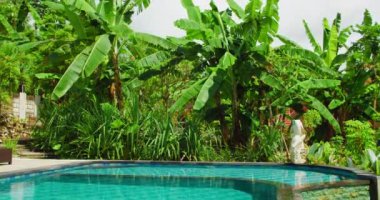 Arka plandaki tropikal orman palmiyelerinde havuz kenarında güneşlenen dinlenme alanı. Hiç kimse. Tatil tatili kavramı.