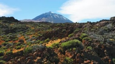 İspanya 'nın Tenerife Kanarya Adaları' nda kışın karla kaplı ve terk edilmiş lav manzaralı bir volkan. Nadir bulunan kaktüs çalılarının üzerinden uç, dağ zirvesi. Hava görüntüsü. Doğa Ana. Hiç kimse. Yakın plan..