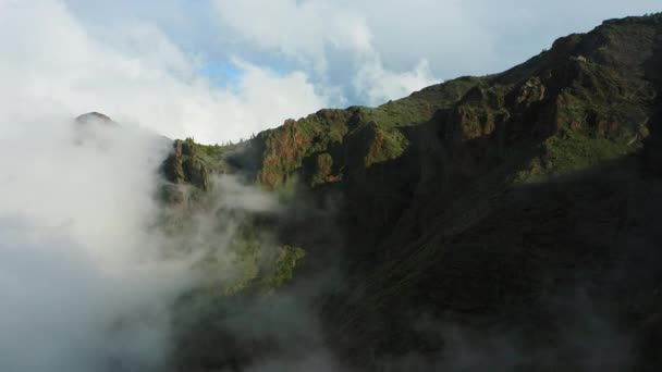 霧が山の中で雨の天気松の木の森の上に吹いて霧 晴れた日に丘の上のトウヒの空中映像 美しい秋の冬の森の中で朝 テイド火山 — ストック動画
