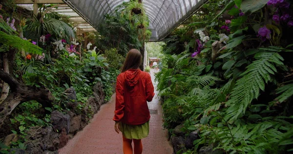 Genç gezgin kadın, tropikal yağmur ormanlarında yeşil bir yolda yürüyor. Doğanın tadını çıkaran kadın turist, rahatla ve özgürlük hayat kavramı. Yavaş çekim