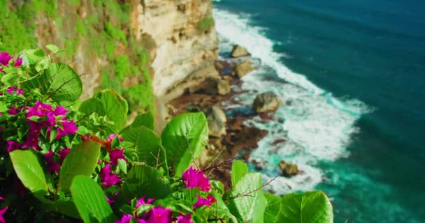 青い海の波に対する美しいピンクのマゼンタブーゲンビリアの花 休暇でリラックスしてください アジア インドネシア バリ島への旅行 — ストック動画
