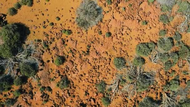 Каменный Оранжевый Скалистый Вулканический Пейзаж Национальный Парк Тейде Тенерифе Канарский — стоковое видео