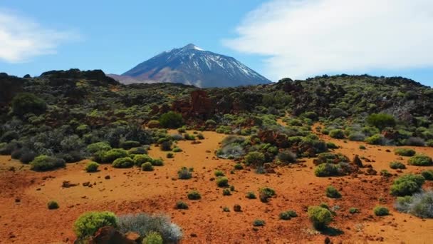 火山的自然景观 在西班牙加那利斯特内里费的Teide火山附近 从岩石上飞走 阳光灿烂的下午 长长的阴影 — 图库视频影像