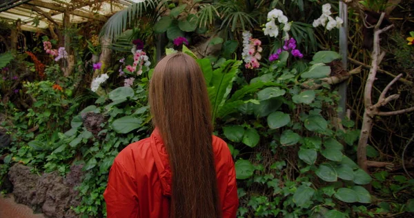 Uzun saçlı, mutlu gezgin kadının arka manzarası, bahçesinde orkide çiçekleri ve serada yeşil çimenler. Rahatla ve yaz tatilinin tadını çıkar, doğa manzarası.