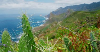 Rocky green coast, mountain coastline in the north of Tenerife. Roque de las Animas. Canaries. Spain. Blurry focus turns into a clear picture clipart