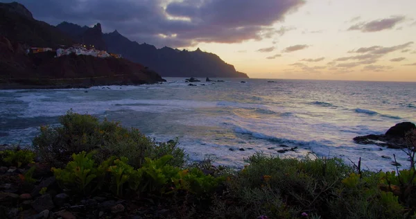 Alacakaranlık. Atlantik Okyanusu, Kuzey Tenerife, Almaciga kara kumlu plajı ve köy üzerinde altın gün batımı. Çiçekler ve yeşil bitkiler ön planda. Elle tutulur.