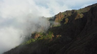 Beyaz hava bulutları dağ yamacından vadiye iniyor. Teide Naional Parkı 'nda kışın sislerin içinde uçan bir hava aracı. Tenerife Kanarya Adaları İspanya Avrupa. Sis arkaplanı.