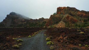 Dağlık bir yamaca çıkan ve karışık kozalaklı ormanlarla kaplı boş bir yol. Terk edilmiş volkanik karaya yakın uçan bir hava aracı. Bulutlu. Kasvetli bir gün. Tenerife Adası 'ndaki Teide Ulusal Parkı. Her yere git.