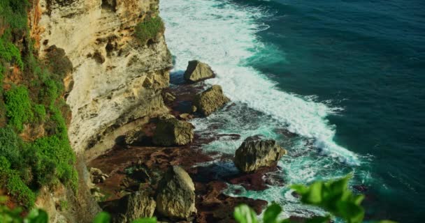 Vegetación Verde Exuberante Crece Costa Rocosa Con Agua Transparente Del — Vídeos de Stock