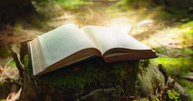 Open book with light flare. Mysterious printed book with a magical story. Learning is light and ignorance is darkness. Illuminated text in ancient scripture. Close-up.