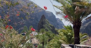 Masca Vadisi ve İspanya 'nın Kanarya Adaları' ndaki Tenerife Adası 'ndaki köy. Yavaş çekim.