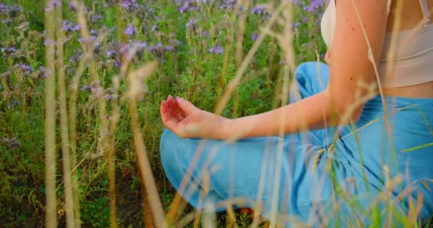 冥想的概念 一片紫色的花 女人接近放松 闻花香 莲花的位置呼吸练习 — 图库视频影像