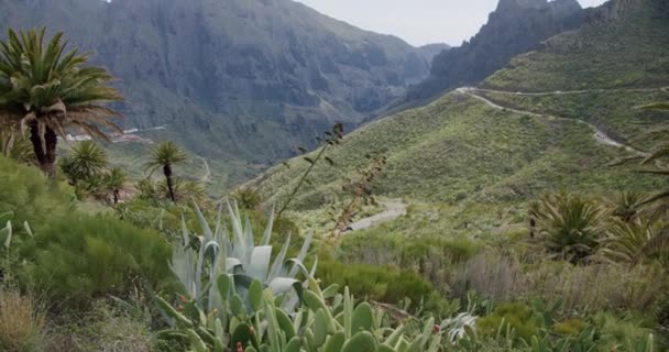 Masca Gorge和西班牙加那利群岛Tenerife岛上的村庄 — 图库视频影像