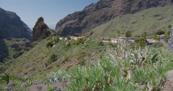 スペインのカナリア諸島のテネリフェ島にあるMasca Gorgeと村 手前のサボテン — ストック動画