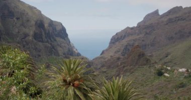 Masca Boğazı ve İspanya 'nın Kanarya Adaları' ndaki Tenerife Adası 'ndaki köy..
