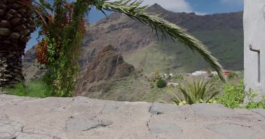 Beyaz spor ayakkabılı kadınların yakın çekimi Masca Vadisi, Tenerife, Kanarya Adası 'ndaki yolda yürüyor..