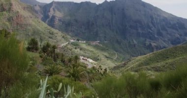 Masca Boğazı ve İspanya 'nın Kanarya Adaları' ndaki Tenerife Adası 'ndaki köy..