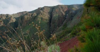 Devasa kayalık dağ sırtları ve yeşil ağaç ormanları olan tepeler. Güneşli yaz gününde dağ geçidi. Ladin ve çam ağaçları olan dev kayalık uçurumlar. Vahşi doğa manzarası.