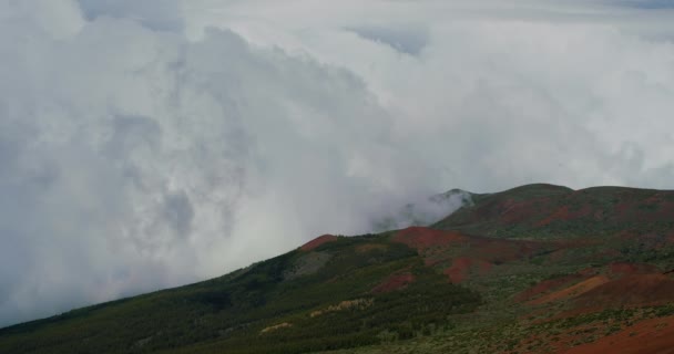 Огромные Белые Облака Движутся Склону Горы Покрытые Облаками Национальный Парк — стоковое видео
