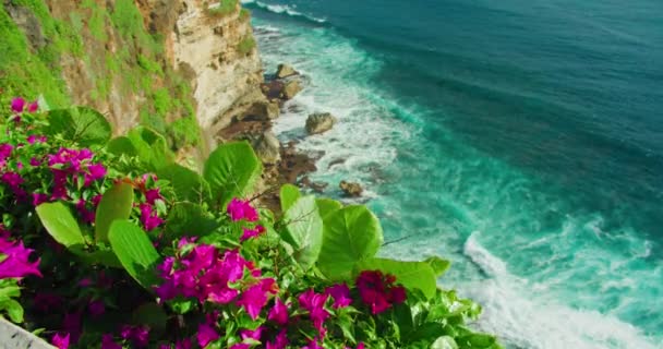 Colorido Frente Mar Uluwatu Templo Bali Island Indonesia Flores Carmesí — Vídeos de Stock