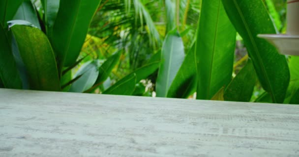 Mesa Exuberante Jardín Tropical Verde Camarero Sirviendo Una Taza Café — Vídeos de Stock